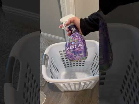 Laundry basket cleaning is a must! #laundry #cleanwithme #disinfect #cleaningmotivation #asmr #howto