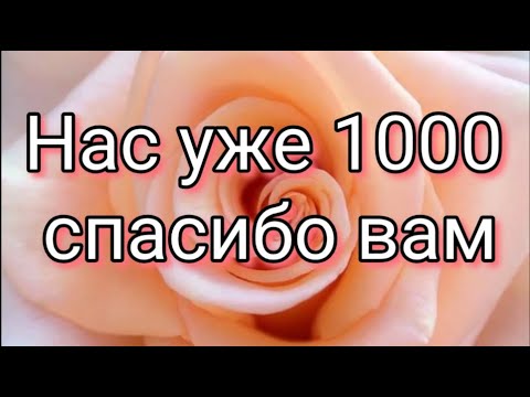 Спасибо большое за 1000 подписчиков 💕