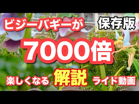 【保存版】ティンカーベルのビジーバギー解説付きライド動画！