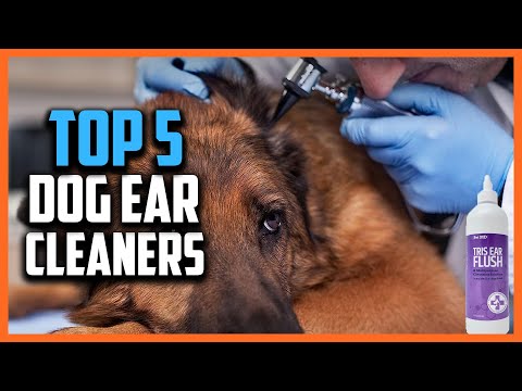 ✅Top 5 Best Dog Ear Cleaners For 2024