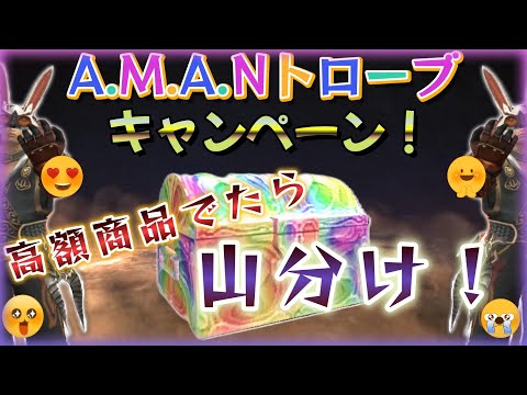 FF11 A.M.A.N トローブキャンペーン　高額品GETして山分けだ！