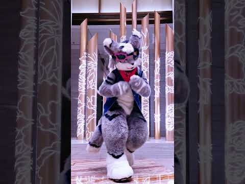 #Dance the japanese song #HACK #trending #踊ってみた #fypage #tiktokviral #fursona #FURSUIT #kemono