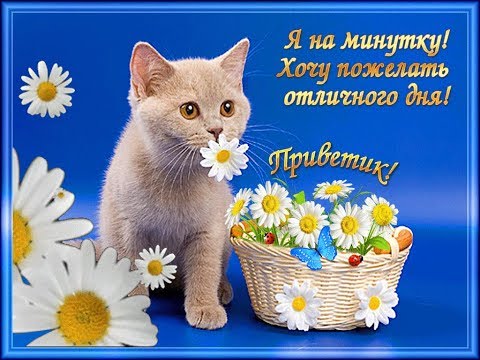 Сдобрым нежным утром.... 💞💞💞... 🤗🤗🤗