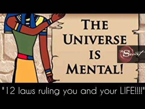 💯✌️ 🤯Not a Joke! Eye opener video of your life by Universe secrets|Pro your life #loa #universe