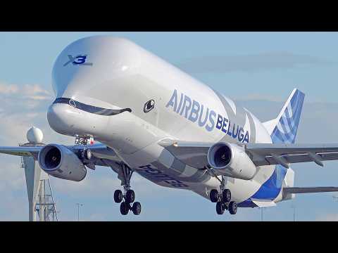 56 HEAVIES HIGHLIGHTS Summer Season Amsterdam Schiphol Airport Beluga XL, A340, B747, A380