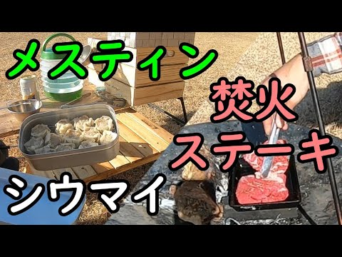 【ソロキャンプ】焚き火に100スキでステーキを焼く②