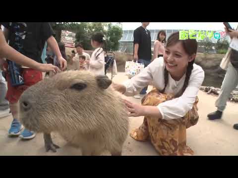 【あんてなサン】おとなりサン「神戸どうぶつ王国｣