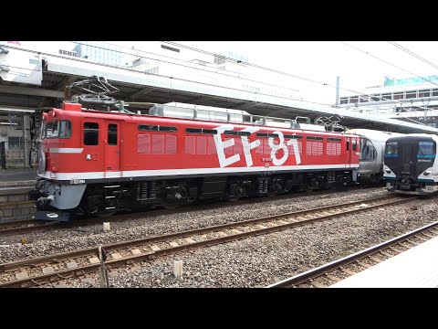 11/05/2024 Japan Railways: "Cassiopeia", Hauled by EF81 95 at Omiya