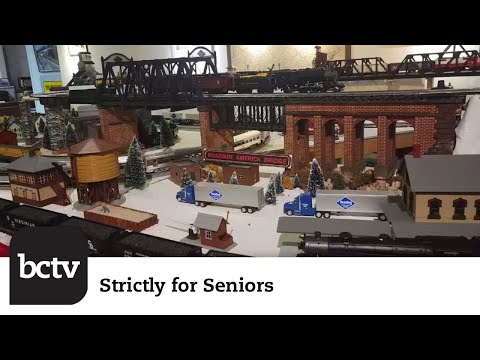 Reading Railroad Museum in Hamburg, PA | Strictly for Seniors