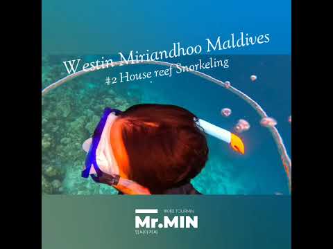 몰디브 웨스틴 미리안두 하우스리프 두짓타니와 꼭 비교하세요.westin miriandhoo maldives