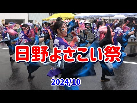 4K 学生よさこいチームおどりんちゅ【ひのよさこい祭】2024年　東京の日野で雨の中、第21回日野よさこい祭の学生よさこいチームおどりんちゅの演舞。豊田南演舞場１回目