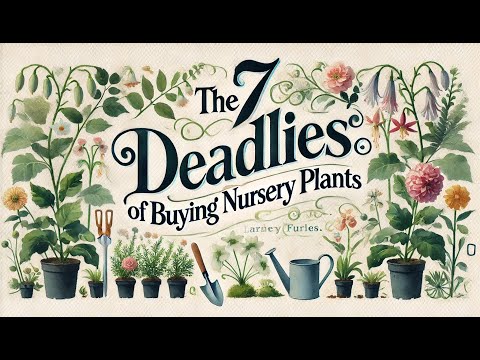 The 7 Deadly Sins of Buying Nursery Plants (Avoid These Mistakes!)