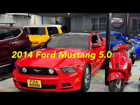 Ep.4 Another Car, Another Day! New Arrival | 2014 Ford Mustang 5.0 By Franz Akeem Aldover