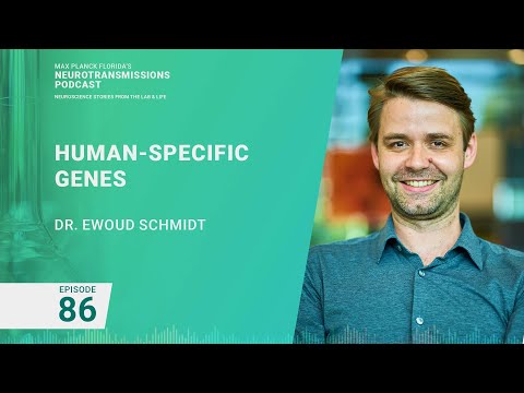 Podcast Ep. 86 Human-Specific Genes | Ewoud Schmidt