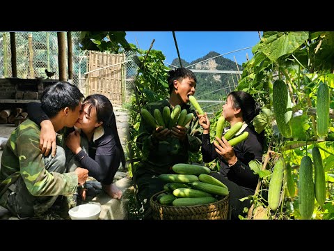 Harvest Cucumbers in 30 Days or Less for Maximum Profit, Grow Your Farm | Linh's Life