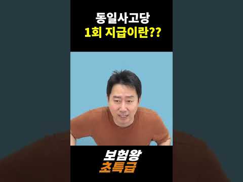 동일사고당 1회 지급이란? ?