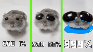 Sad Hamster Everytime with more sad