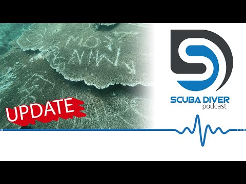 Guides Were Paid to Graffiti Coral #scuba #news #podcast