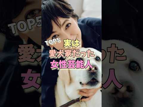 実は愛犬家だった女性芸能人TOP5 #桐谷美玲 #深田恭子 #石田ゆり子