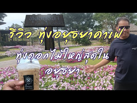 รีวิว ทุ่งอยุธยาคาเฟ่ คาเฟ่ดอกไม้ใหญ่สุดในอยุธยา