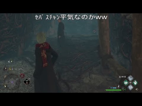 悪魔の罠の上でも無傷だったり 転入生のせいで帰れなくなるセバスチャン 【ホグワーツレガシー】