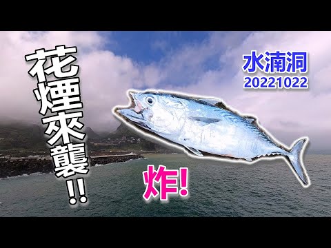 20221022水湳洞花煙襲來，下雨天到海邊，沒想到還能碰上魚群炸水花，原來是花煙大軍來襲~