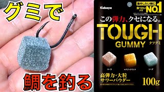 釣りのエサなんて『タフグミ』でいいんだよ【グミで鯛を釣る】