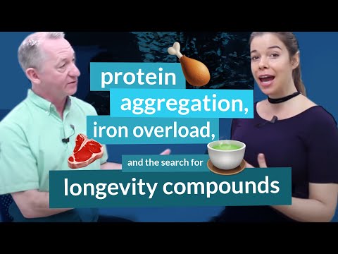 Gordon Lithgow, Ph.D. on Protein Aggregation, Iron Overload & the Search for Longevity Compounds