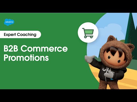 B2B Commerce: Promotions | Expert Coaching