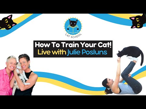 Interview with Julie Posluns from Cat School | Two Crazy Cat Ladies