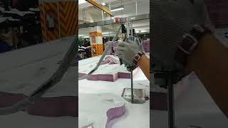 fabric cutter machine! shorts video garments industry! #shorts #clothing #industry #textile