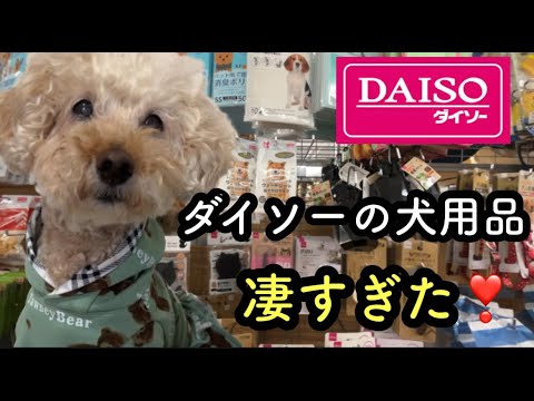 犬用品はダイソーで揃う❢凄すぎた