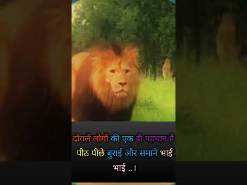 Lion status🔥🔥#motivational #shortsfeed #quotes #whatsappstatus #motivation #shortsvideo #viralvideo