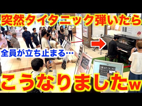 東京駅で突然タイタニック弾いたら全員が一瞬でフリーズww【ストリートピアノ/映画『タイタニック』より『マイ・ハート・ウィル・ゴー・オン』/My Heart Will Go On/Celine Dion