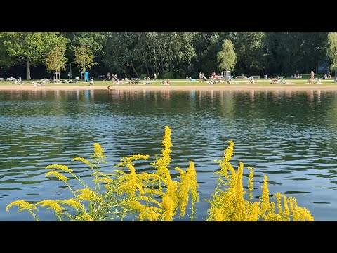 Wöhrder See Nürnberg 2019