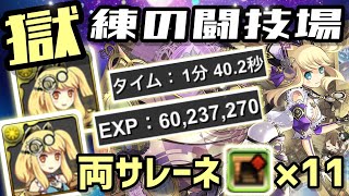 【パズドラ】獄練の闘技場！両サレーネ！ダンボ11！1分台で6000万↑稼げます！