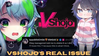 VShojo's Legal Issues Behind Froot & Kson Controversy