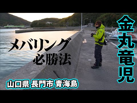 山口県の堤防でメバリング上達のヒント大公開！1/2 『Mebarin Gate 5 金丸竜児×シーズン前のメバル攻略』イントロver.【釣りビジョン】その①