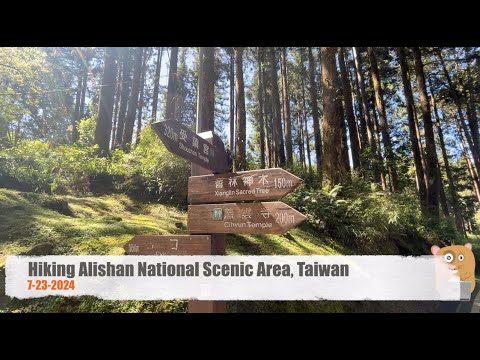 Hiking Alishan National Scenic Area, Taiwan