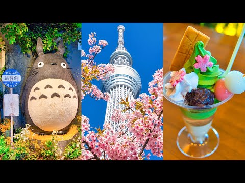 Tokyo Skytree Observation Deck and Solamachi🌸 | Unique Japan Culture | Ghibli, Pokemon, and Anime