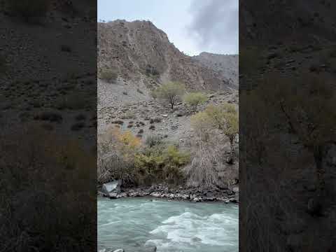 Markhor spotted in chitral