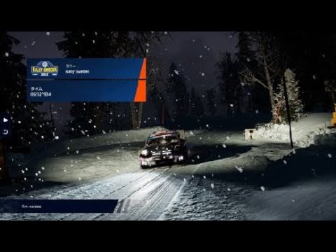 WRC Generations – The FIA WRC Official Game_20241213093359