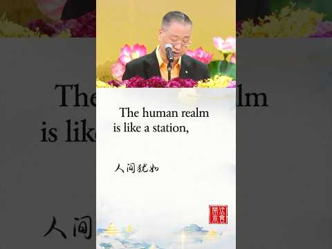 人生这列火车，没人会一直陪你到终点 THE HUMAN REALM IS LIKE A STATION, WHERE MANY PEOPLE PASS BY【中英】法会开示 · 选段