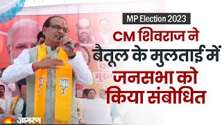 LIVE: Shivraj Singh Chouhan Addresses a Public Meeting in Betul, Madhya Pradesh | MP Election 2023