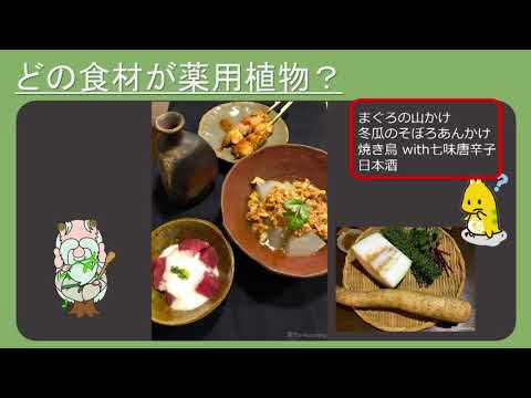 はじめての漢方e-learning 「薬用植物シリーズ」居酒屋編