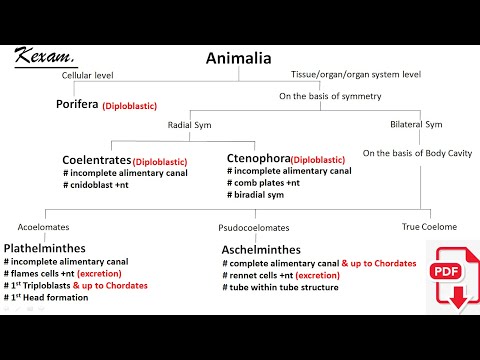 Animal Kingdom Classification Chart. #nbd2. kexam. #neet