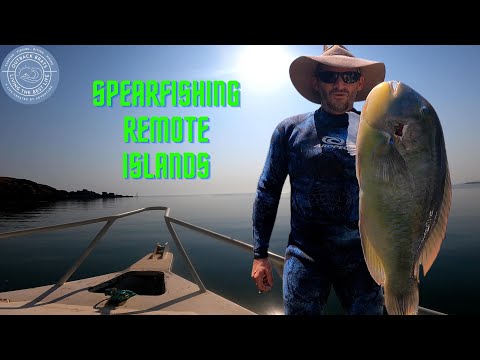 Spearfishing Remote Islands In Western Australia - Bluebone,Coral Trout,Mangrove Jack, hungry Sharks