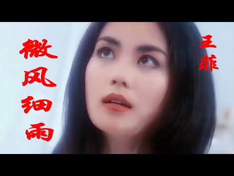 王菲的《微风细雨》，歌声灵动中闪烁着妖冶，颓废中彰显着华丽