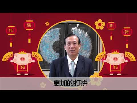 賴正鎰董事長 2019拜年 豬年行大運