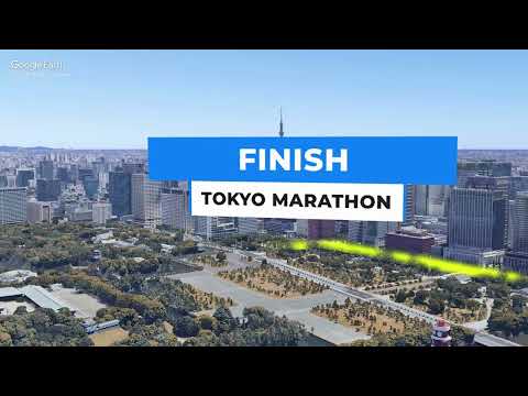 Tokyo marathon 2024 - Course Map 3D - 4K - Best Marathon in the world